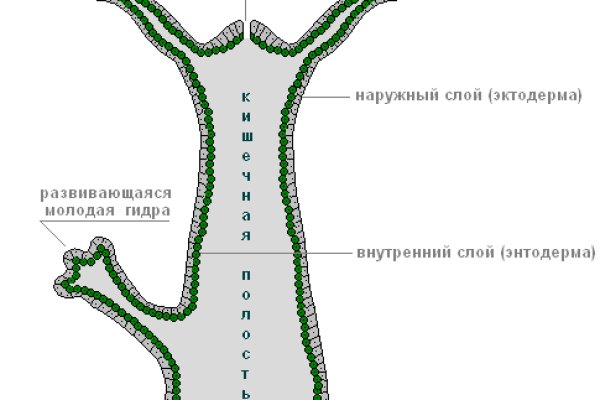 Kraken официальный сайт ссылка через tor