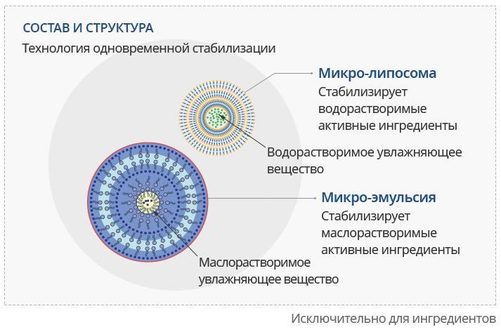 Kraken onion darknet zerkalo